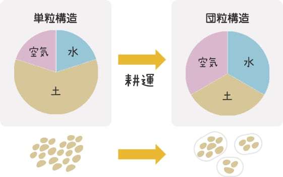 構造イメージ