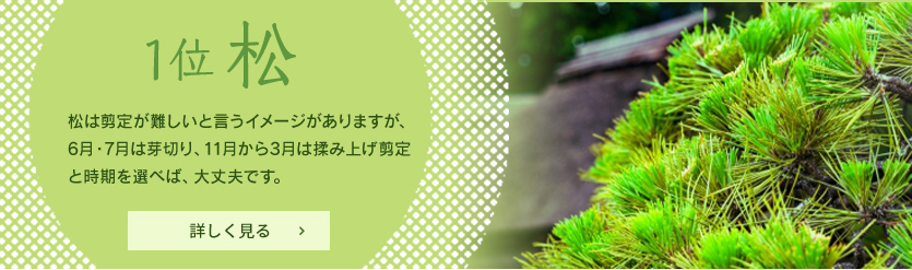 庭木の手入れ | 宮原福樹園
