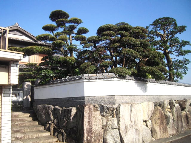 個人庭園の定期管理・年間管理例