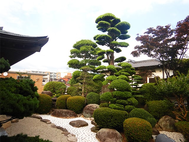 個人庭園の定期管理・年間管理例