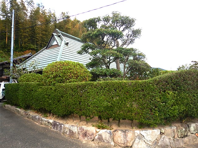 個人庭園の定期管理・年間管理例