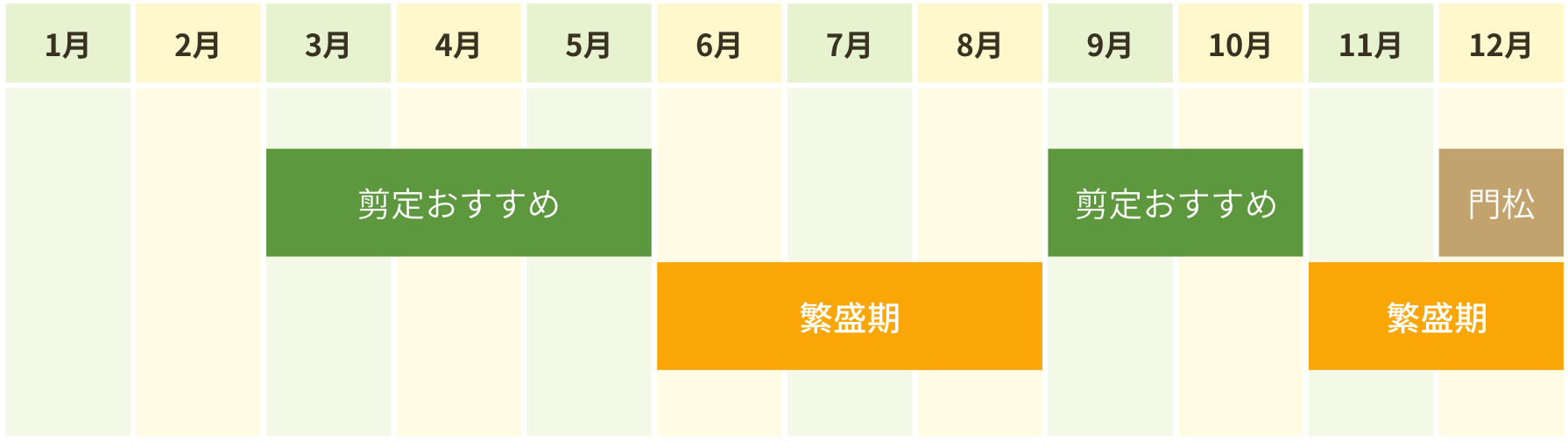 樹木剪定・年間定期管理表