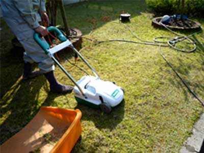 お庭の除草・草刈・雑草対策