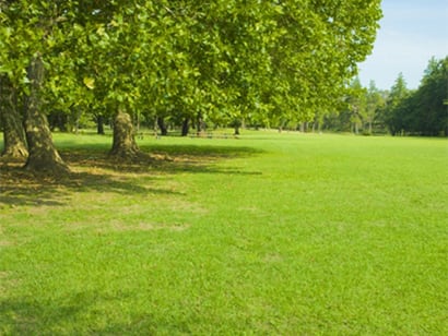 芝生の手入れと芝庭のリフォーム 宮原福樹園