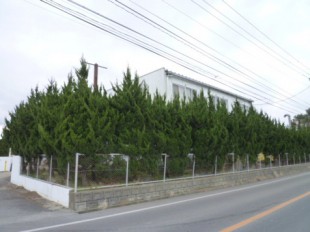 佐賀県三養基郡　事務所　植栽定期管理