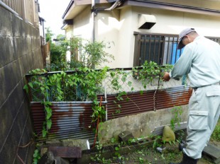 糟屋郡長者原　貸家除草工事　空家管理