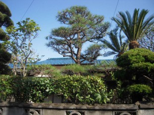 筑紫野市湯町　空家定期管理