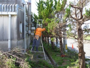 佐賀県三養基郡　事務所　植栽定期管理