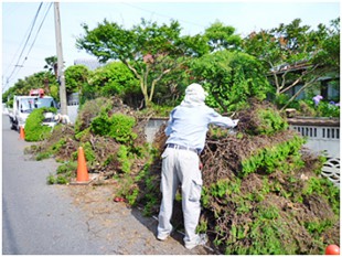 筑紫野市塔の原　伐採