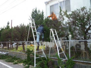 佐賀県三養基郡　事務所　植栽定期管理