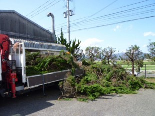 佐賀県三養基郡　事務所　植栽定期管理