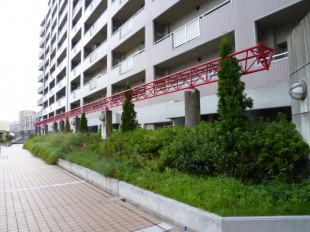 福岡市博多区吉塚　ステーションアヴェニュー様　定期植栽管理