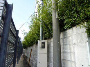 福岡市博多区　林九右衛門商店様　植栽定期管理