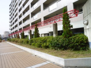 福岡市博多区吉塚　ステーションアヴェニュー様　定期植栽管理