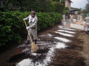 太宰府市五条　N邸　ウッドデッキリフォーム後の芝生張り