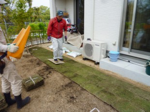 春日市U邸　芝生張り工事