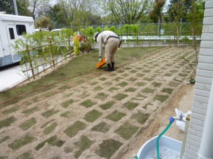 春日市U邸　芝生張り工事