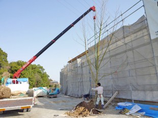 大野城市スイーツショップ　「バニラの実」様　庭園植栽工事