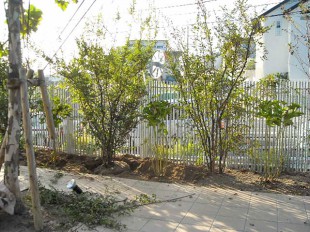 大野城市スイーツショップ　「バニラの実」様　庭園植栽工事