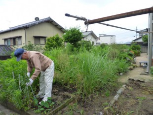 福岡県糟屋郡志免町　S様邸　造園工事