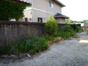 福岡県糟屋郡志免町　S様邸　造園工事