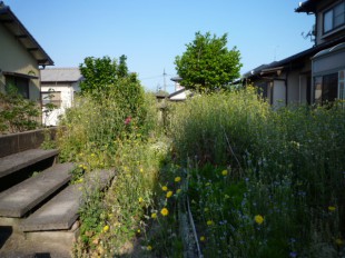 福岡県糟屋郡志免町　S様邸　造園工事