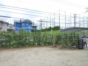 筑紫野市美しが丘南　M様邸　植栽生垣工事