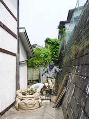 大野城市南ヶ丘　ふくもり写真館様　高木カシノキ剪定　