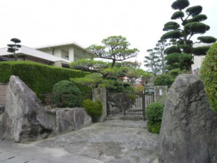 大野城市　H様邸　松の手入れ