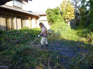 博多区美野島　M様邸　庭木の管理