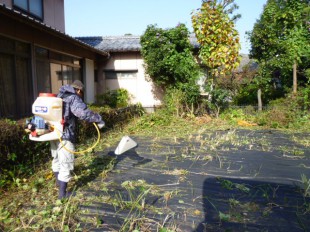 博多区美野島　M様邸　庭木の管理