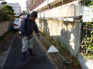 博多区美野島　M様邸　庭木の管理