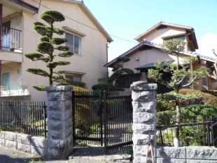 博多区美野島　M様邸　庭木の管理