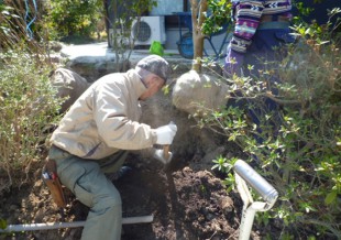 春日市小倉　N様邸　庭木の移植・植え込み工事