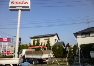 通古賀　福岡日産様　カイヅカ剪定