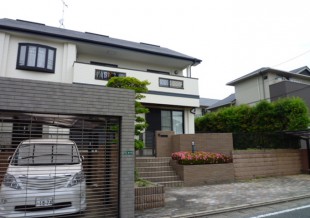 太宰府市観世音寺　S様邸　カシノキ剪定　