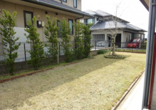 田川市千代町　N様邸　芝張り工事