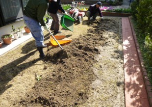 田川市千代町　N様邸　芝張り工事