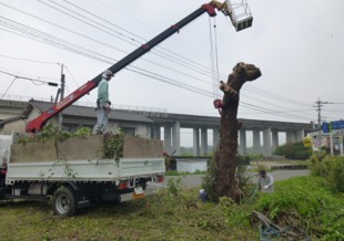 杷木町志波　T様邸　高木樹伐採・空き地の管理