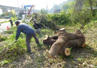 杷木町志波　T様邸　高木樹伐採・空き地の管理