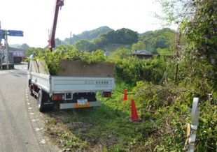 杷木町志波　T様邸　高木樹伐採・空き地の管理