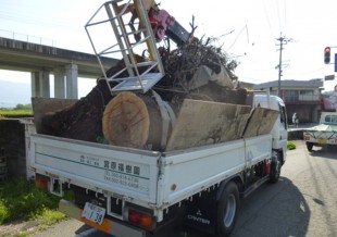 杷木町志波　T様邸　高木樹伐採・空き地の管理