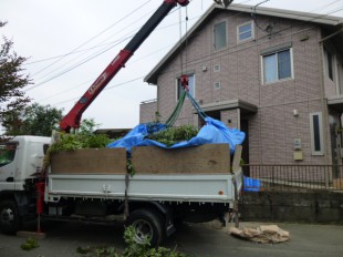 鳥栖市　剪定工事