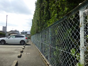 久留米病院様施設生垣剪定工事