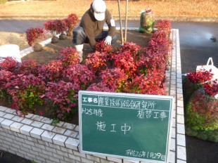 鳥栖市 植栽工事