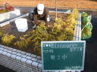 鳥栖市 植栽工事