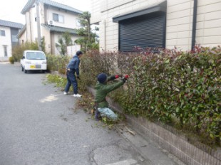 宇美町四王寺坂 レッドロビン剪定