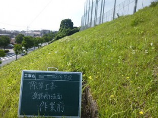 道路側法面作業前