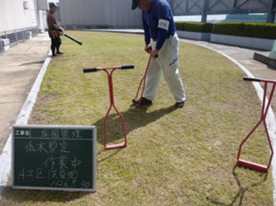 芝生エアレーン中