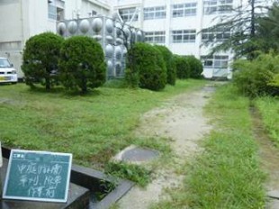 中庭除草、草刈作業前